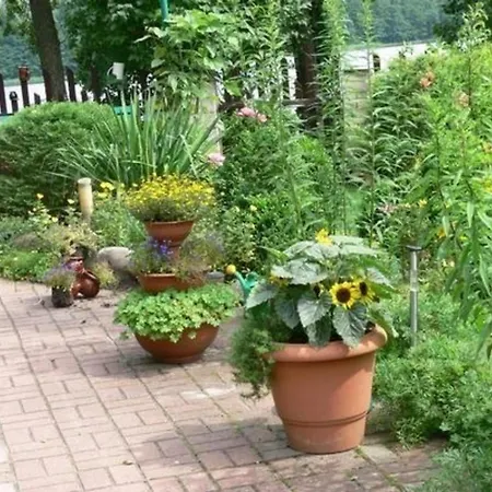 Ferienhaus Fuer 4 Personen Ca 85 Qm In Barczewo, Masuren-ermland Masurische Seenplatte 펜션 *